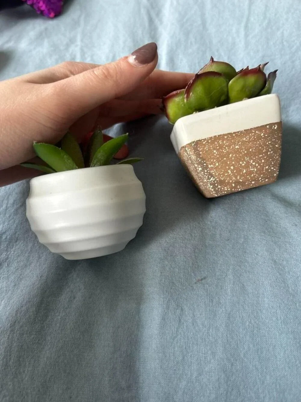 2 Small Fake Succulents